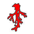 Coral Branch (A&S)