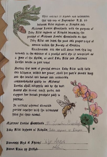 File:Ailis Protege contract.jpg