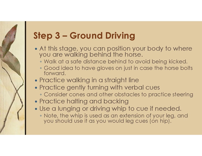 File:Teaching Equine to Drive.pdf