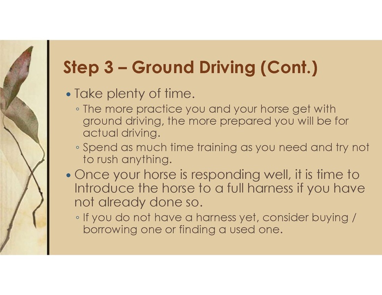 File:Teaching Equine to Drive.pdf