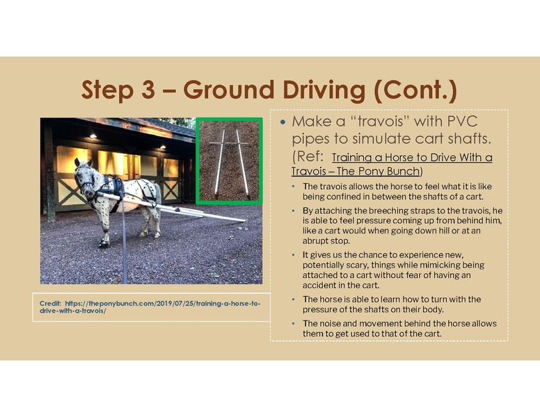File:Teaching Equine to Drive.pdf
