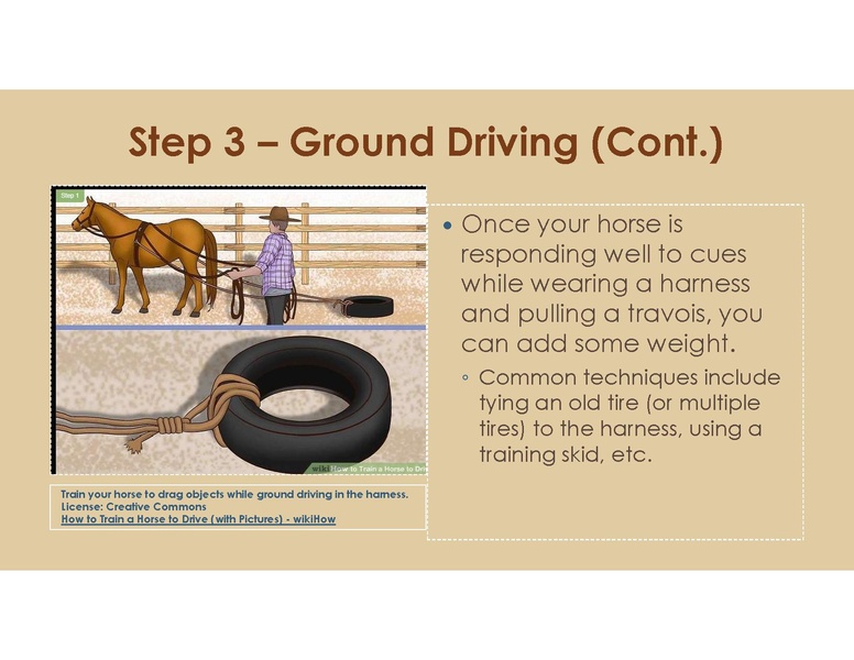 File:Teaching Equine to Drive.pdf