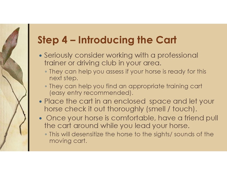 File:Teaching Equine to Drive.pdf