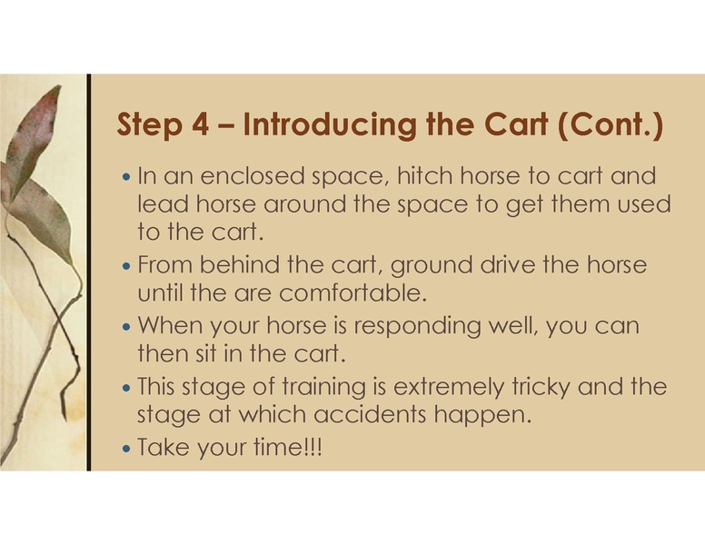 File:Teaching Equine to Drive.pdf