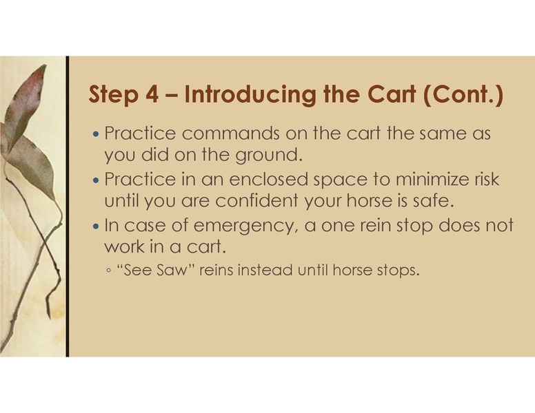 File:Teaching Equine to Drive.pdf
