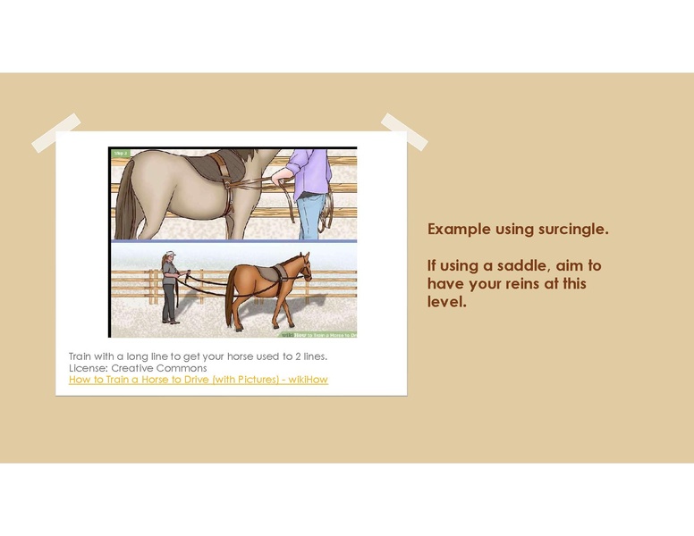 File:Teaching Equine to Drive.pdf