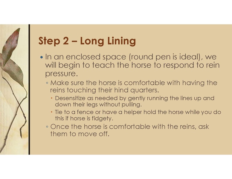 File:Teaching Equine to Drive.pdf
