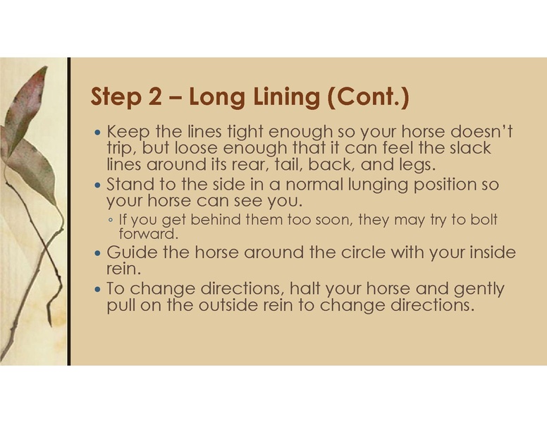 File:Teaching Equine to Drive.pdf