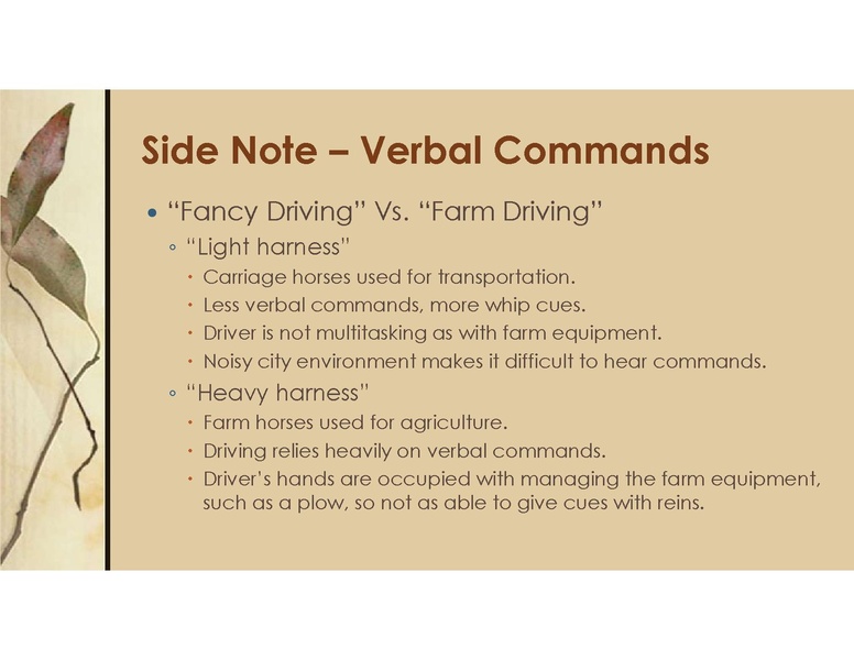 File:Teaching Equine to Drive.pdf