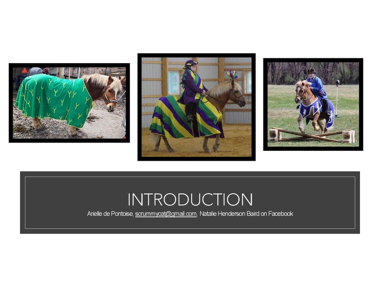 File:MORE Patterns Pony 07FEB26.pdf