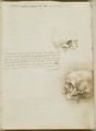 Recto: The Cranium. Verso: Notes on topics to be investigated 1489, Leonardo da Vinci