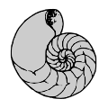 Silver Nautilus